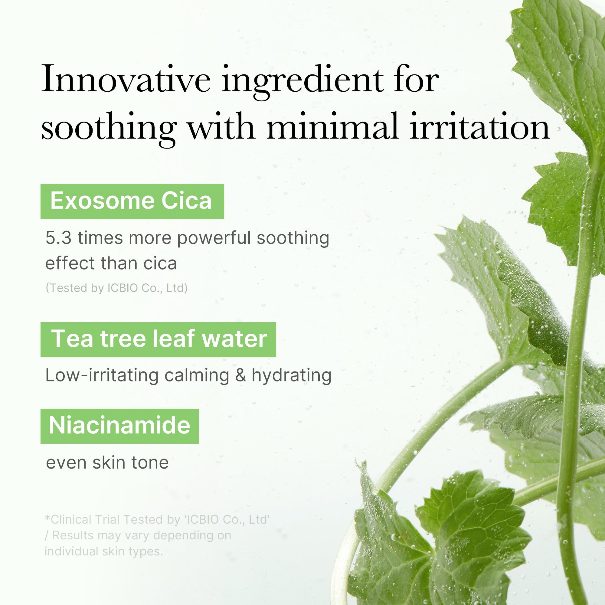 Exosome Cica Calming Toner Pads R1